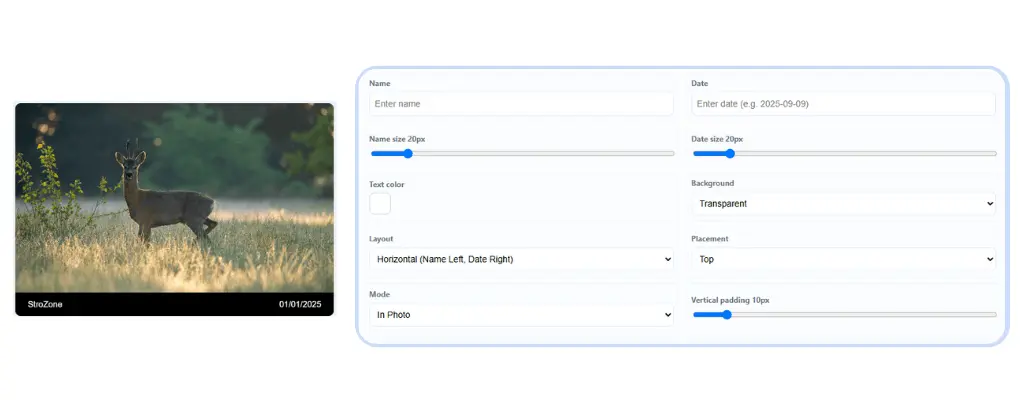 Sample Vertical Image